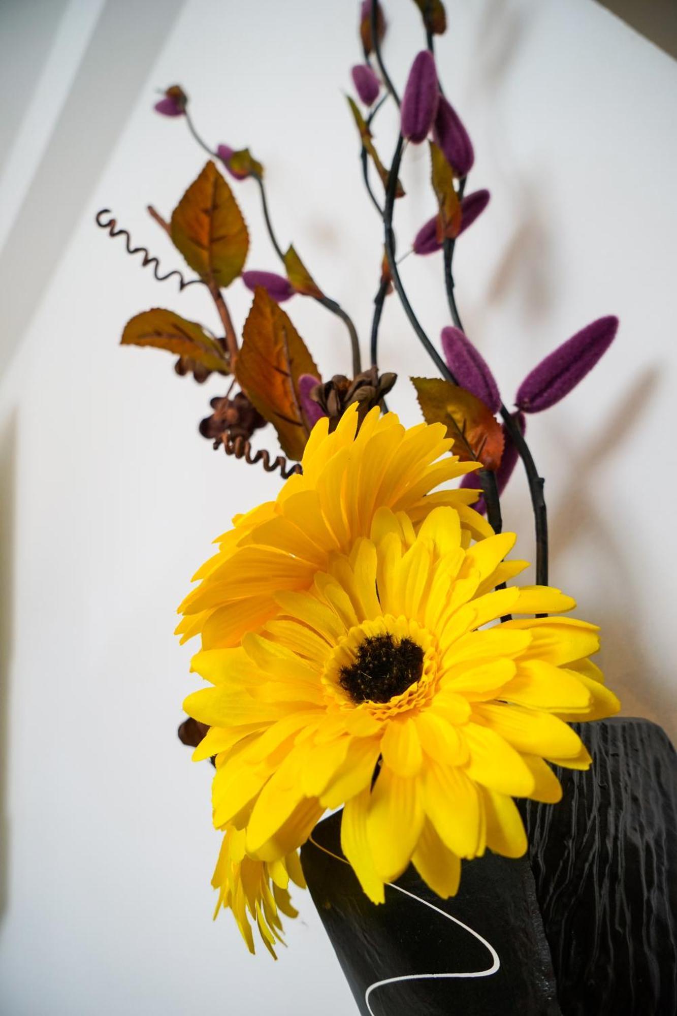 Floral Apartment Zára Kültér fotó